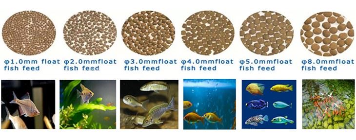 Mesin Extruder Untuk Suapan Ikan Terapung